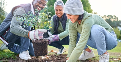 Volunteers planting flowers