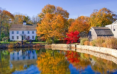 A view of multi colored trees in the fall time