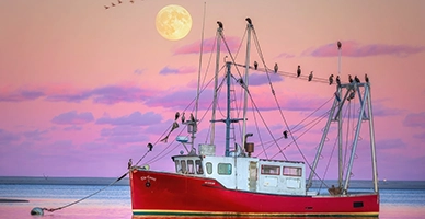 A boat with a sunset in the background