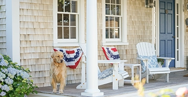 A dog sitting on the front porch of a house