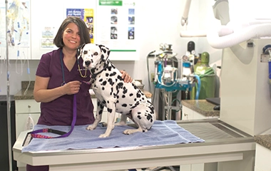 Annette of All Pets Medical Center smiles with dalmation patient.