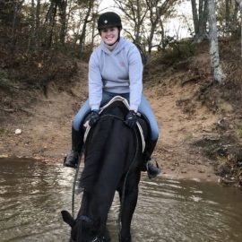 Photo of Barnstable Farm & Pet  